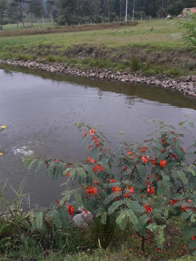 Pousada Requinte Ponto Rural Urubici Ngoại thất bức ảnh